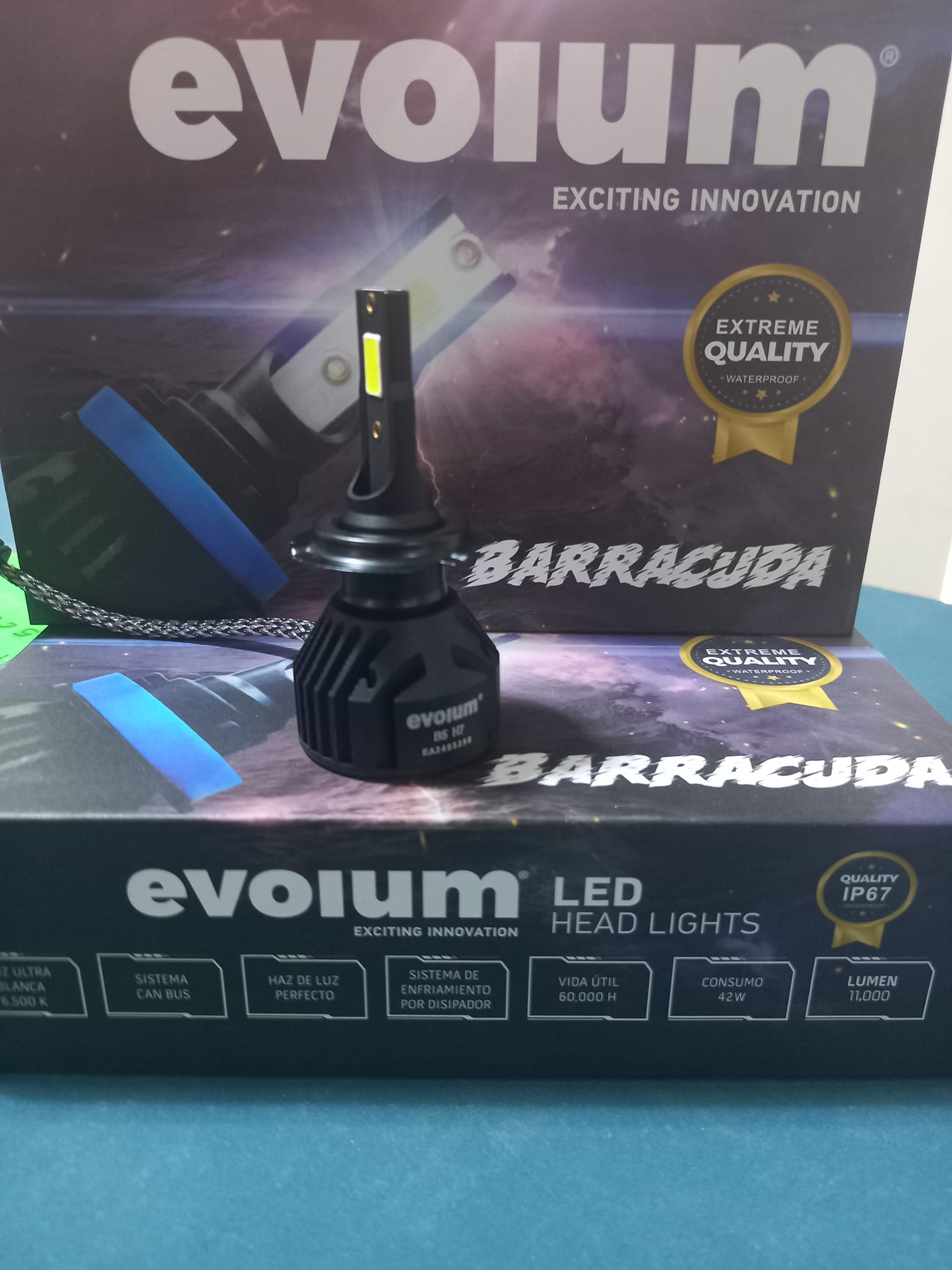 481272031_1148228913714889_6236906117314053926_n